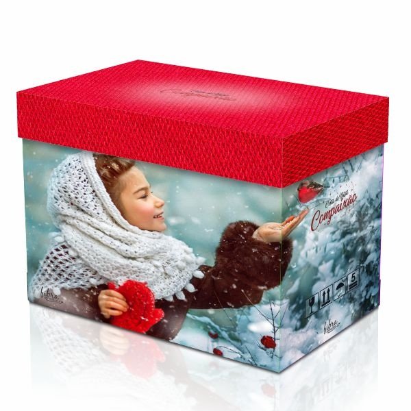 Cesta de Natal